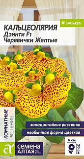 Кальцеолярия Дэинти F1 Черевички желтые, 3 шт.