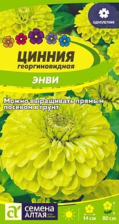 Цинния георгиноцветковая Энви, 0,3 г 