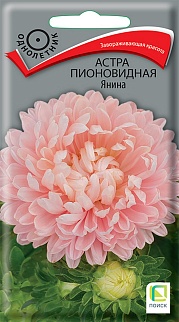 Астра пионовидная Янина 0,3 г
