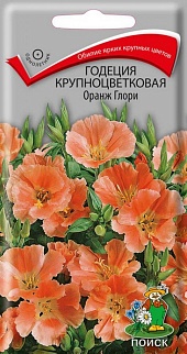 Годеция Крупноцветковая Оранж глори, 0,2 г