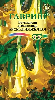 Бругмансия Аромагия желтая, 3 шт.
