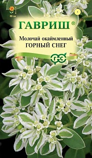 Молочай окаймленный Горный снег, 0,5 г