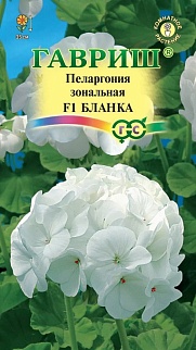 Пеларгония зональная Бланка F1, 4 шт.
