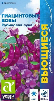 Гиацинтовые бобы Рубиновая Луна, 1 г  Вьющиеся растения 