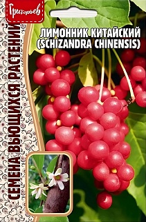 Лимонник Китайский, 5 шт.