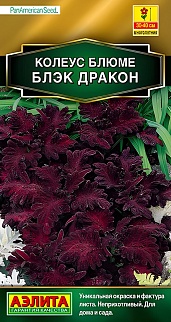 Колеус блюме Блэк дракон, 10 шт.