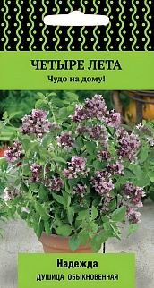 Душица Надежда, 20 шт. Четыре лета
