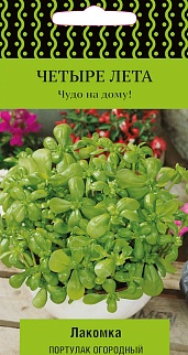 Портулак огородный Лакомка, 20 шт. Четыре лета.