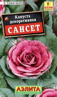 Капуста декоративная Сансет, 7 шт.