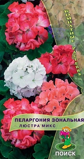 Пеларгония зональная Люстра микс, 5 шт. Комнатные растения