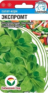 Салат Корн Экспромт, 0,5 г. Сибирский сад.