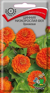 Цинния низкорослая Фея Оранжевая, 0,1 г