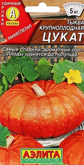 Тыква крупноплодная Цукат, 1 г