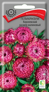 Гелихризум Королевский размер малиновый, 0,1 г