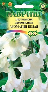Бругмансия Аромагия белая, 3 шт.