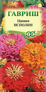 Цинния Исполин, смесь, 0,3 г 