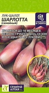 Лук Шалот Шарлотта, 0,3 г