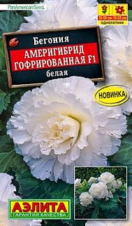 Бегония гофрированная Америгибрид F1, белая, 5 шт.