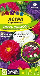 Астра Карликовая, смесь окрасок, 0,3 г