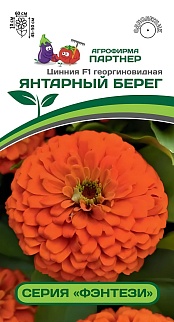 Цинния Янтарный Берег F1, георгиновидная  4 шт.