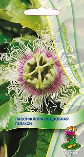 Пассифлора съедобная Гэлакси, 0,2 г Комнатные растения