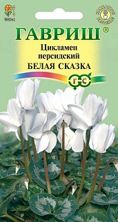 Цикламен персидский Белая сказка, 3 шт.