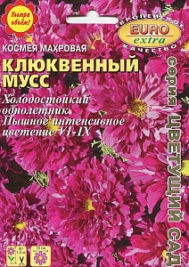 Космея Клюквенный мусс. Сибирский сад