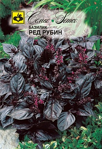 Базилик Ред рубин, 1 г. Семко
