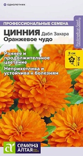 Цинния Дабл Захара Оранжевое чудо, 5 шт. Профессиональные семена.