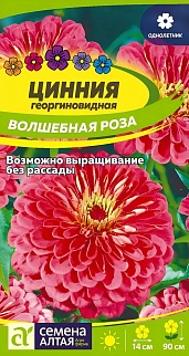 Цинния георгиноцветковая Волшебная роза, 0,3 г. 