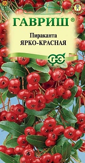 Пираканта Ярко-красная, 5 шт. 