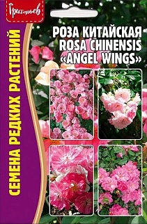 Роза китайская Angel Wings, 10 шт