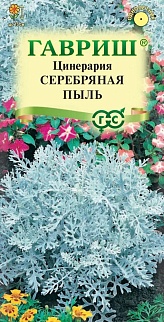 Цинерария приморская Серебряная пыль, 0,1 г