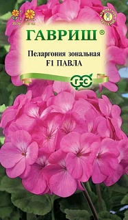 Пеларгония зональная Павла F1, 4 шт.