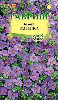 Бакопа (Сутера)  Василиса, 3 шт.