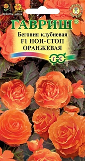 Бегония клубневая Нон-стоп оранжевая F1, 4 шт.