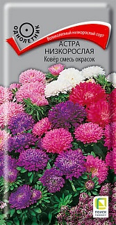 Астра низкорослая Ковер смесь окрасок, 0,2 г