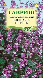 Гиацинтовые бобы Вьющаяся сирень, 4 шт. 