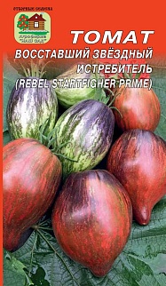 Томат Восставший звездный истребитель, 10 шт.