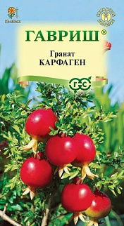 Гранат Карфаген, 5 шт.
