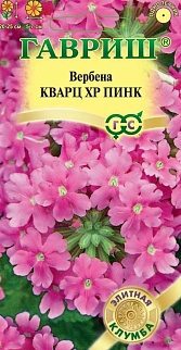 Вербена Кварц- XP Пинк, 5 шт. Элитная клумба.