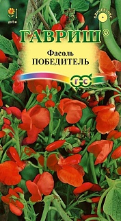 Фасоль декоративная Победитель, 5шт.