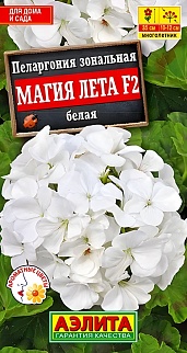 Пеларгония Магия лета F2 белая, 5 шт. 