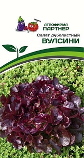 Салат дуболистный Вулсини, 15 шт. Агрофирма Партнер.