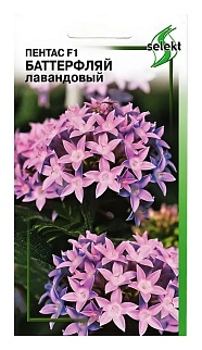 Пентас Баттерфляй, лавандовый,  25 шт.