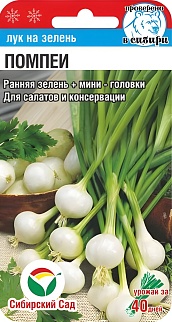 Лук на зелень Помпеи, 0,5 г. Сибирский сад