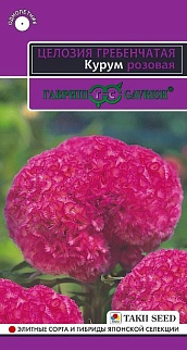 Целозия Гребенчатая КУРУМ розовая, 8 шт. Эксклюзив.