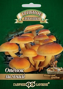 Опенок зимний на древесной палочке, 12 шт. Грибное лукошко.