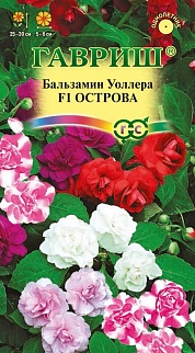 Бальзамин Уоллера Острова F1, 5 шт. 