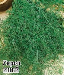 Укроп Иней, 25 г. Фермерское подворье.